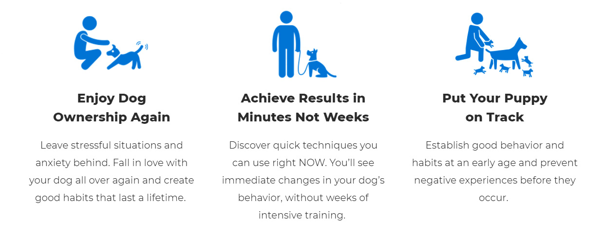 High Quality Dog Training Course